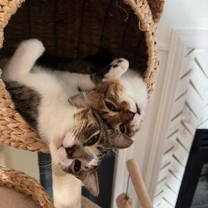 Meet your Posher, Jamie